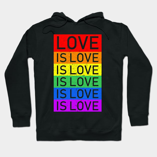 Love Is Love LGBT Gay Pride Lesbian Hoodie by LotusTee